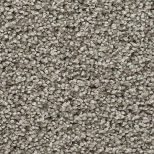 Timeless Designs Carpet Bring It On Collection Mystic