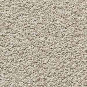 Timeless Designs Carpet Bring It On Collection Orion