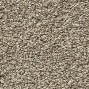 Timeless Designs Carpet Bring It on Collection Statuary