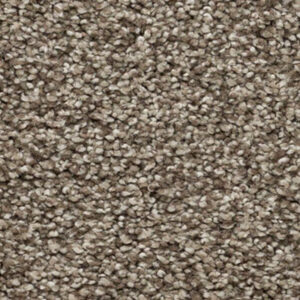 Timeless Designs Carpet Bring It On Collection Triumph