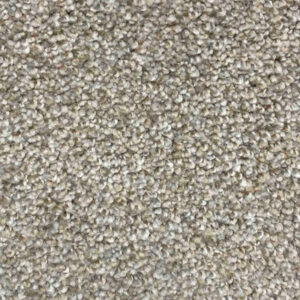 Timeless Designs Carpet Celebrity Collection Iceberg