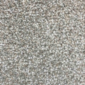 Timeless Designs Carpet Celebrity Collection Orion 