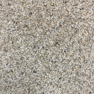 Timeless Designs Carpet Dream Big Collection Umber