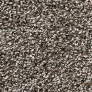 Timeless Designs Carpet Fantastic Collection Bird Bath