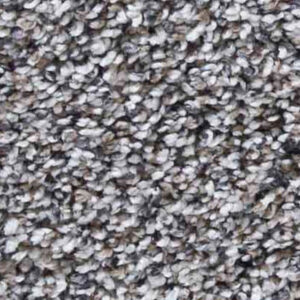 Timeless Designs Carpet Just Because Collection Alaskan Air
