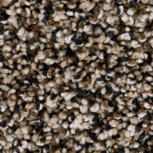 Timeless Designs Carpet Just Because Collection Sandpiper