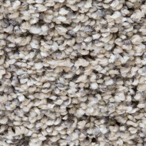 Timeless Designs Carpet Just Because Collection Sea Shell