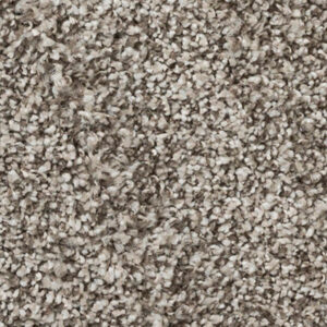 Timeless Designs Carpet Refined Collection Deverse