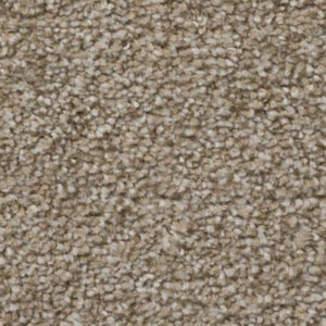 Timeless Designs Carpet Sensible Choice Collection Cameo