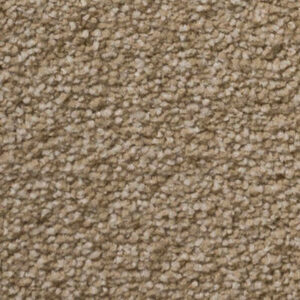 Timeless Designs Carpet Sensible Choice Collections Cashmere