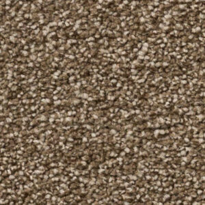 Timeless Designs Carpet Sensible Choice Collection Quail