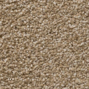 Timeless Designs Carpet Sensible Choice Collection Sawgrass