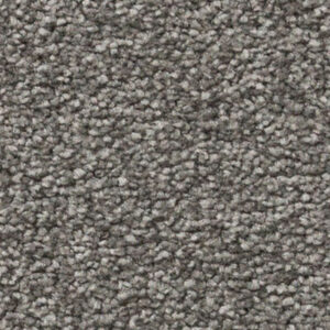 Timeless Designs Carpet Sensible Choice Collection Stellar
