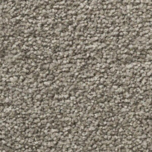 Timeless Designs Carpet Sensible Choice Collection Thunder