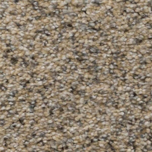 Timeless Designs Carpet Sky's The Limit Collection Sandy Cove