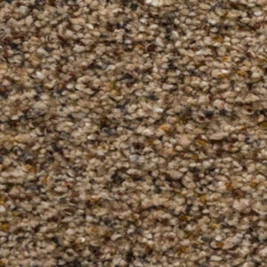 Timeless Designs Carpet Sky's The limit Collection Nature Jewell