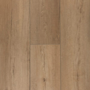 Timeless Designs Titanium Plus Chic Beige 9"